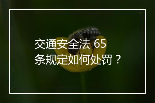 交通安全法 65 条规定如何处罚？