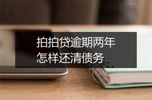拍拍贷逾期两年怎样还清债务