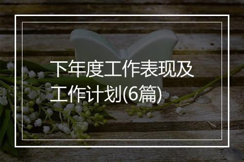 下年度工作表现及工作计划(6篇)