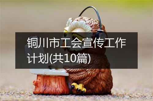 铜川市工会宣传工作计划(共10篇)