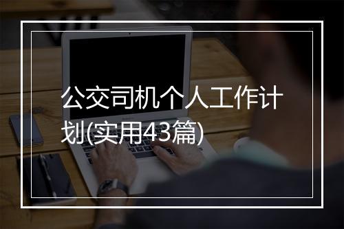 公交司机个人工作计划(实用43篇)