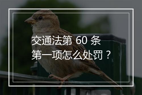 交通法第 60 条第一项怎么处罚？
