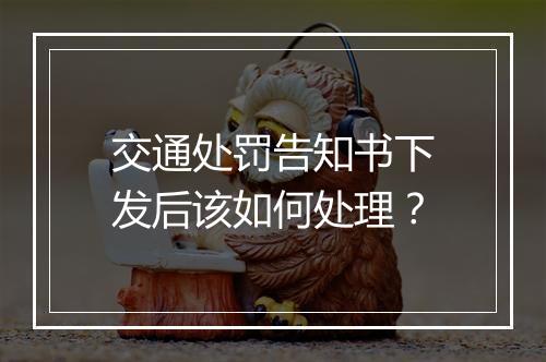 交通处罚告知书下发后该如何处理？