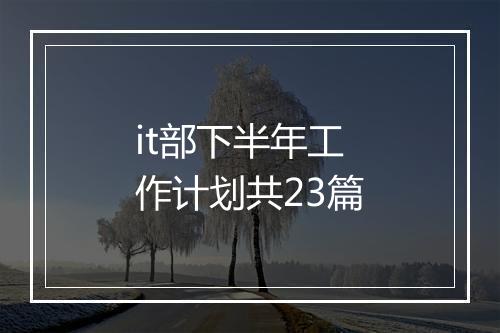 it部下半年工作计划共23篇