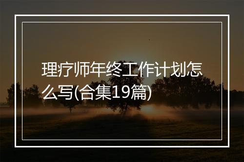 理疗师年终工作计划怎么写(合集19篇)