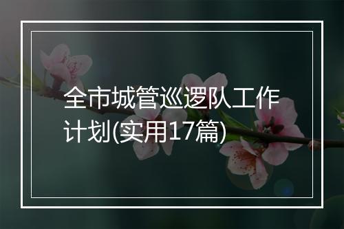 全市城管巡逻队工作计划(实用17篇)