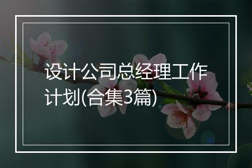 设计公司总经理工作计划(合集3篇)