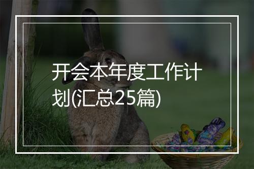 开会本年度工作计划(汇总25篇)