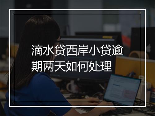 滴水贷西岸小贷逾期两天如何处理