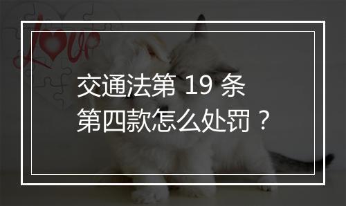 交通法第 19 条第四款怎么处罚？