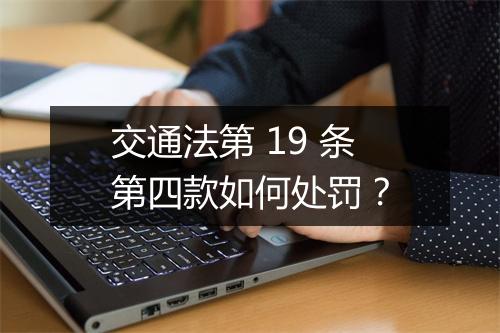 交通法第 19 条第四款如何处罚？