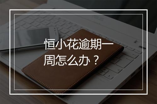 恒小花逾期一周怎么办？
