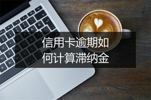 信用卡逾期如何计算滞纳金