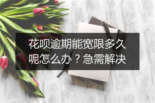 花呗逾期能宽限多久呢怎么办？急需解决