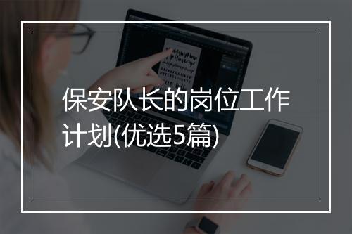 保安队长的岗位工作计划(优选5篇)