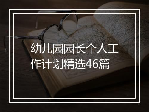幼儿园园长个人工作计划精选46篇