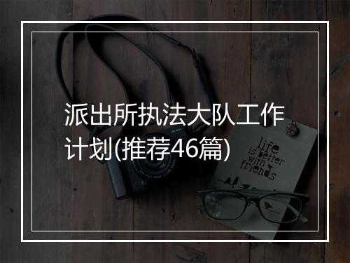 派出所执法大队工作计划(推荐46篇)