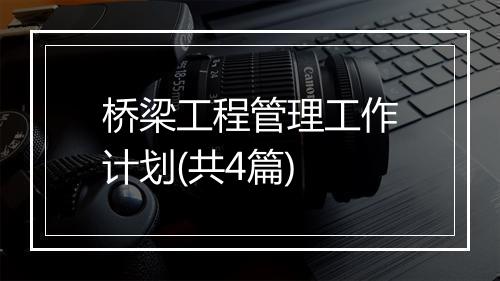 桥梁工程管理工作计划(共4篇)