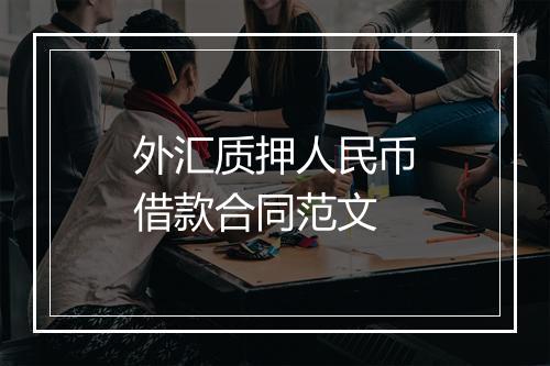 外汇质押人民币借款合同范文