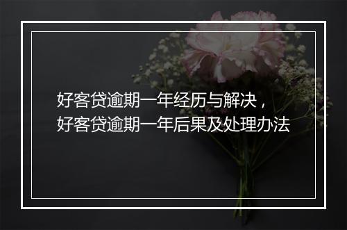好客贷逾期一年经历与解决 ,好客贷逾期一年后果及处理办法