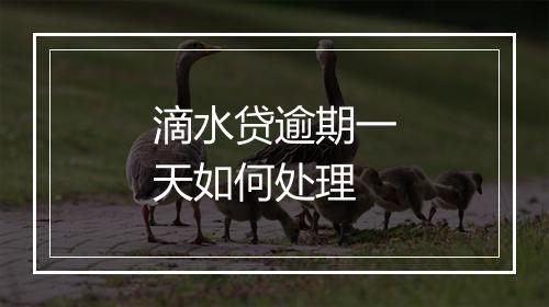 滴水贷逾期一天如何处理