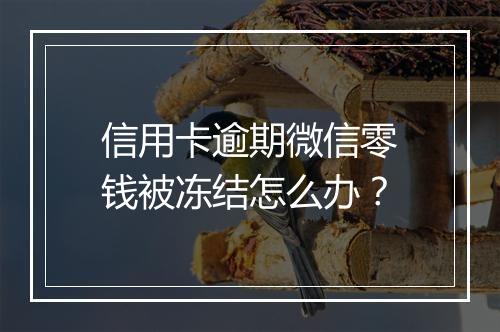 信用卡逾期微信零钱被冻结怎么办？