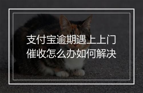 支付宝逾期遇上上门催收怎么办如何解决