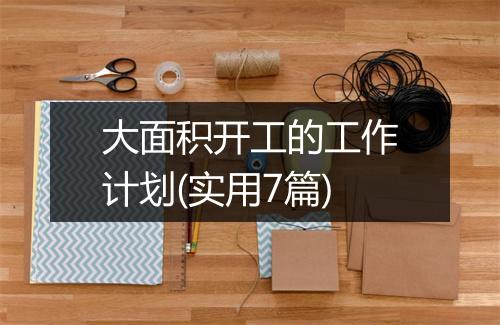 大面积开工的工作计划(实用7篇)