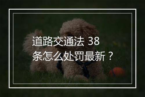 道路交通法 38 条怎么处罚最新？