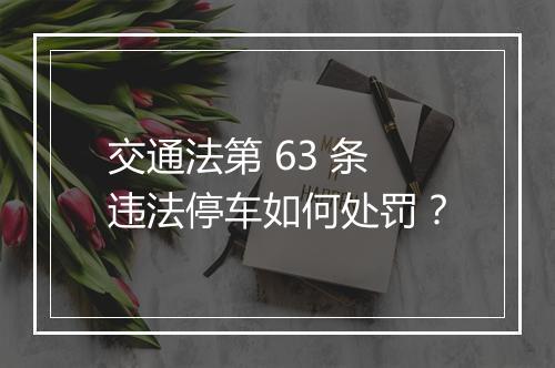 交通法第 63 条违法停车如何处罚？