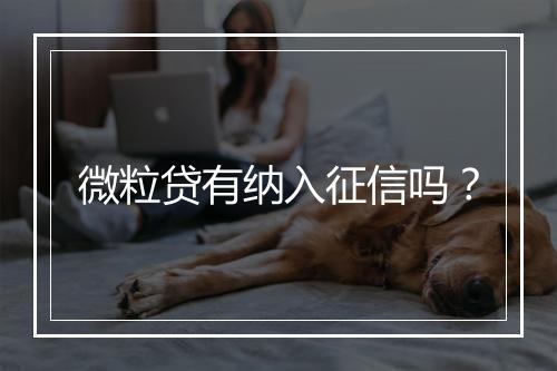 微粒贷有纳入征信吗？