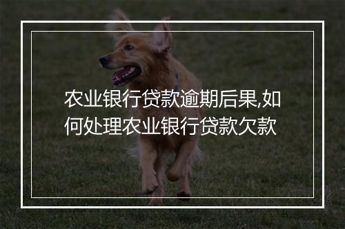 农业银行贷款逾期后果,如何处理农业银行贷款欠款