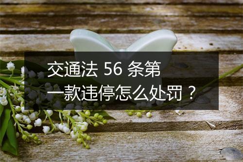交通法 56 条第一款违停怎么处罚？