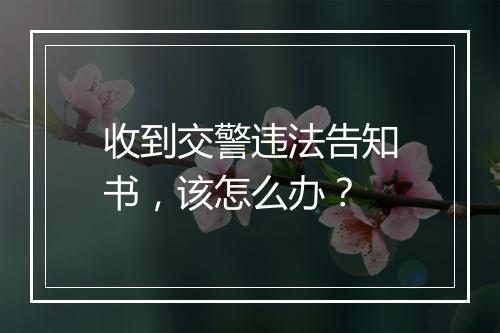 收到交警违法告知书，该怎么办？