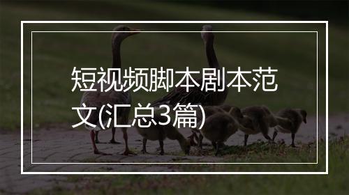 短视频脚本剧本范文(汇总3篇)