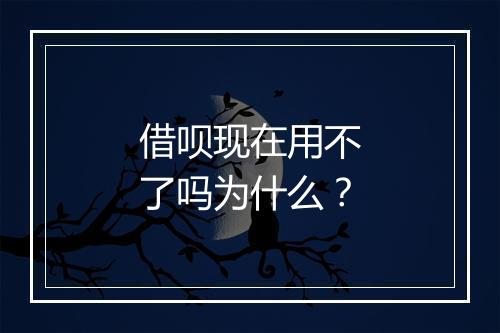 借呗现在用不了吗为什么？