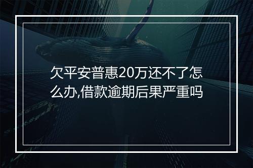 欠平安普惠20万还不了怎么办,借款逾期后果严重吗