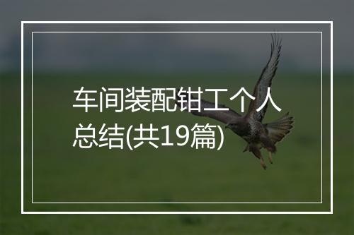 车间装配钳工个人总结(共19篇)