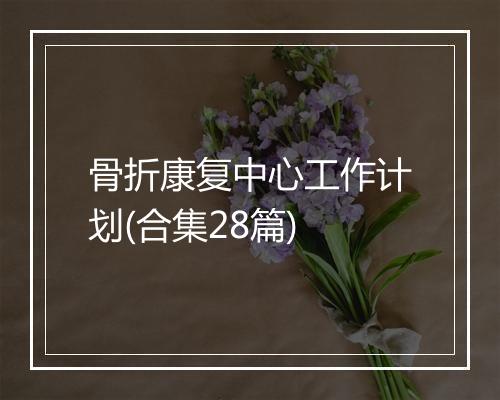 骨折康复中心工作计划(合集28篇)