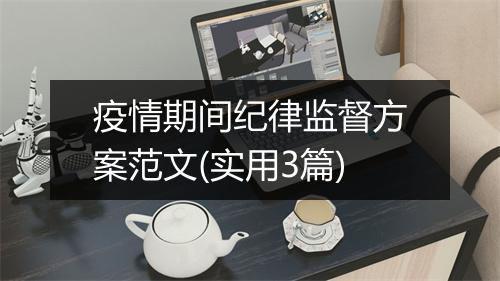 疫情期间纪律监督方案范文(实用3篇)
