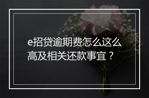 e招贷逾期费怎么这么高及相关还款事宜？