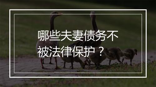 哪些夫妻债务不被法律保护？