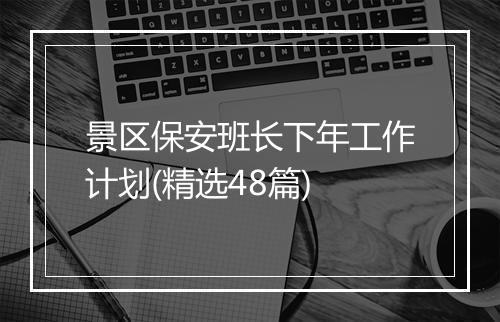 景区保安班长下年工作计划(精选48篇)