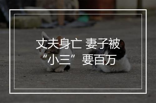 丈夫身亡 妻子被“小三”要百万