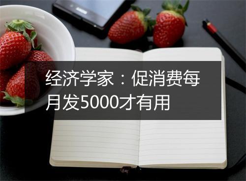经济学家：促消费每月发5000才有用