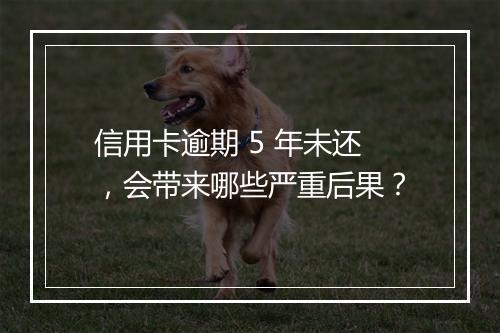 信用卡逾期 5 年未还，会带来哪些严重后果？