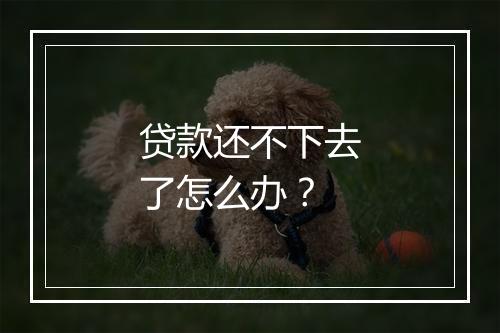 贷款还不下去了怎么办？