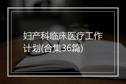 妇产科临床医疗工作计划(合集36篇)