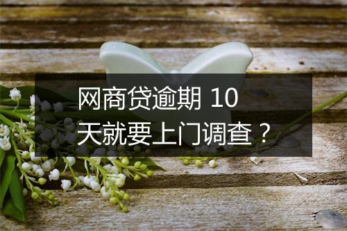 网商贷逾期 10 天就要上门调查？
