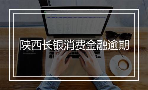 陕西长银消费金融逾期